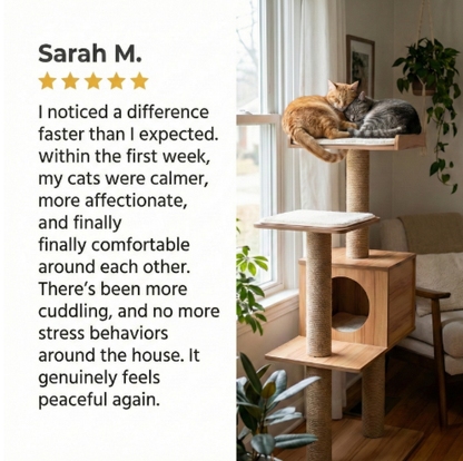 Zenpurr HomePeace™ Cat Diffuser Kit